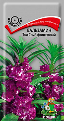 Бальзамин Том Самб фиолетовый "ПОИСК"(ЦВ) ("1) 0,1гр.