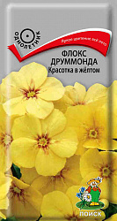 Флокс друммонда Красотка в жёлтом "ПОИСК" (ЦВ) ("1) 0,1гр.