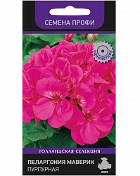 Пеларгония Маверик Пурпурная (Семена Профи) (ЦВ) ("1) 5 шт