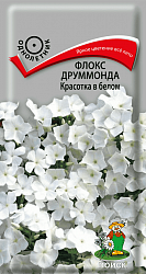 Флокс друммонда Красотка в белом "ПОИСК"(ЦВ) ("1) 0,1гр.