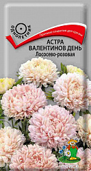 Астра (однолетняя) Валентинов день Лососево-розовая "ПОИСК"(ЦВ) ("1) 0,2гр