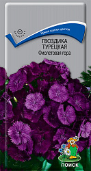 Гвоздика (бородатая) Турецкая Фиолетовая гора "ПОИСК"(ЦВ) ("2) 0,25гр.Годен до 2024г.