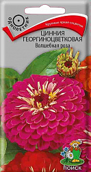 Цинния георгиноцветковая Волшебная роза "ПОИСК"(ЦВ) ("1) 0,4гр.