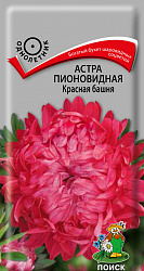 Астра (однолетняя) пионовидная Красная башня "ПОИСК"(ЦВ) ("1) 0,3гр.