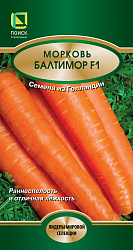 Морковь Балтимор F1 "ПОИСК" (ЦВ*) 0,5гр.Годен до 2024г.
