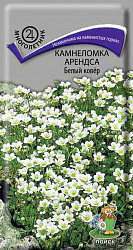 Камнеломка Арендса Белый ковёр "ПОИСК"(ЦВ) ("М) 0,01гр.