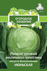 Капуста белокочанная Июньская "ПОИСК"(Огородное изобилие) 0,5гр