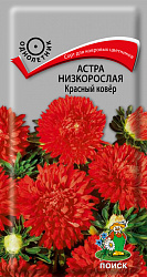 Астра (однолетняя) низкорослая Красный ковер "ПОИСК" (ЦВ) ("1) 0,2гр.