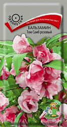 Бальзамин Том Самб розовый "ПОИСК"( ЦВ) ("1) 0,1гр.