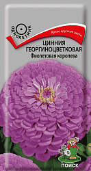 Цинния георгиноцветковая Фиолетовая королева "ПОИСК"(ЦВ) ("1) 0,4гр.