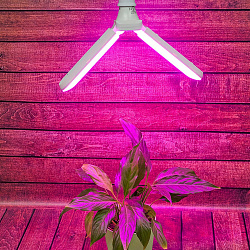 Лампа светодиодная для растений. Форма "P" лепестковая, матовая LED-P65-16W/SPSB/E27/FR/P2 PLP32WH