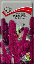 Амарант метельчатый Ред Кафедрал (ЦВ)("1) 0,1гр