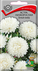 Астра (однолетняя) низкорослая Белый ковер "ПОИСК" (ЦВ) ("1) 0,2гр.